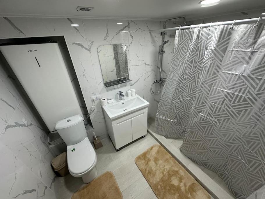 y baño con aseo, lavabo y ducha. en Новый, благоустроенный дом en Karakol