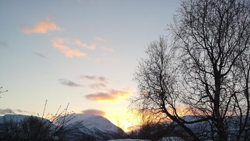 a sunset with trees and mountains in the background at Best no1 in Manndalen