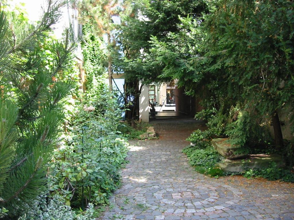 Zahrada ubytování Hotel Central