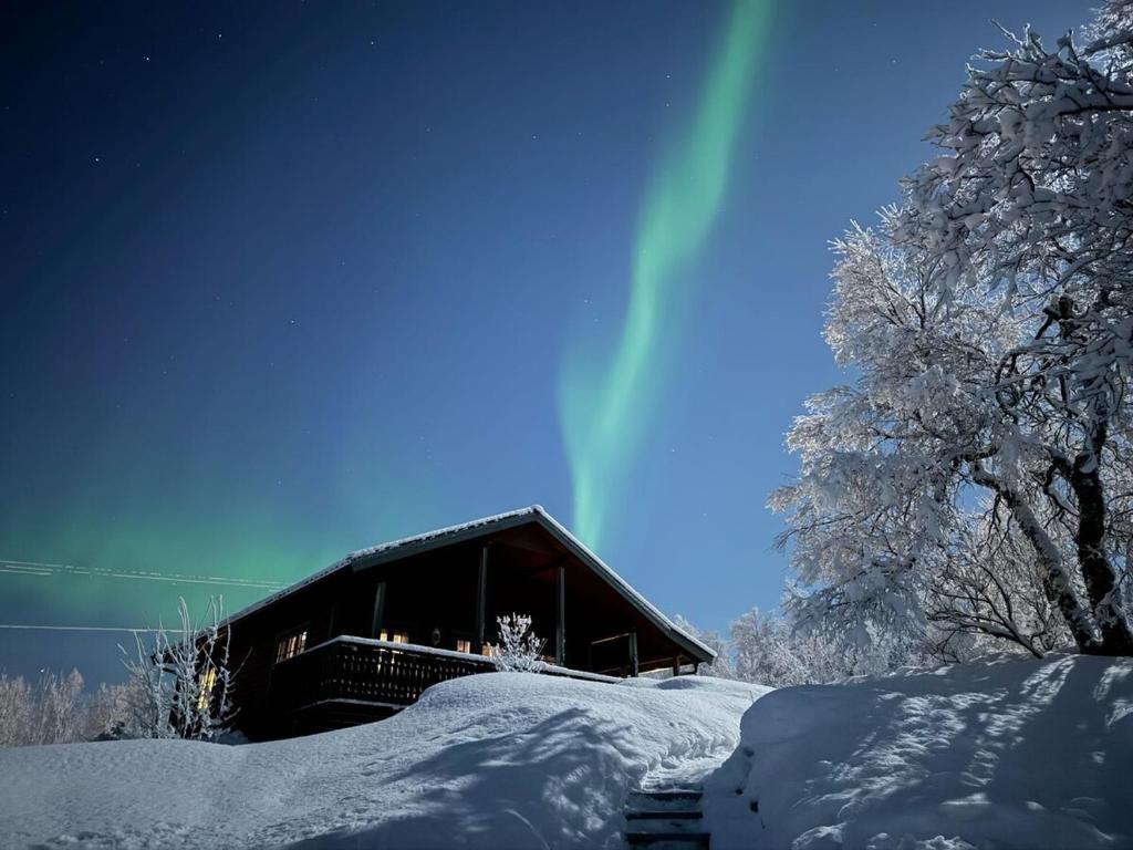 にあるTrivelig hytte i Senja.の雪に覆われた木の隣の建物