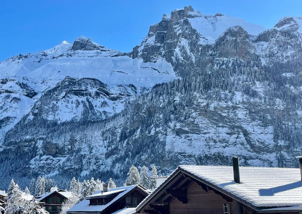 Swiss Alps Lodge iarna