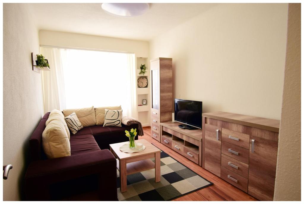 uma sala de estar com um sofá e uma televisão em Color 24 Apartament V em Stalowa Wola