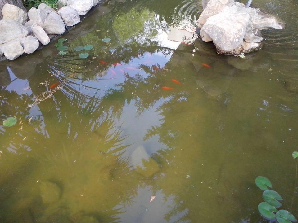 View of a river running close to a panziókat