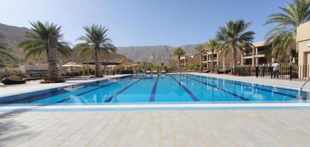 Bassenget på eller i nærheten av GLOBALSTAY. New Apartments in Muscat Bay