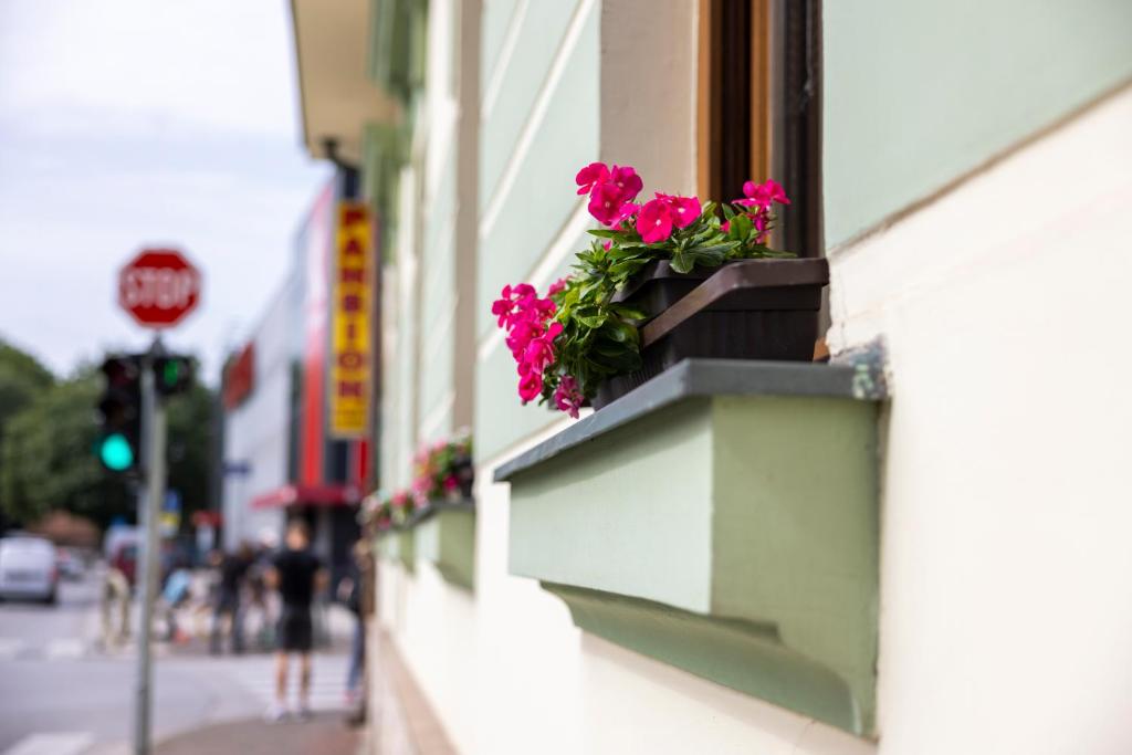 a window box with pink flowers on the side of a building at Pansion Maltar Varaždin in Varaždin