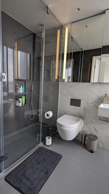 a bathroom with a toilet and a shower and a sink at Lovely Views Of Canary Wharf in London