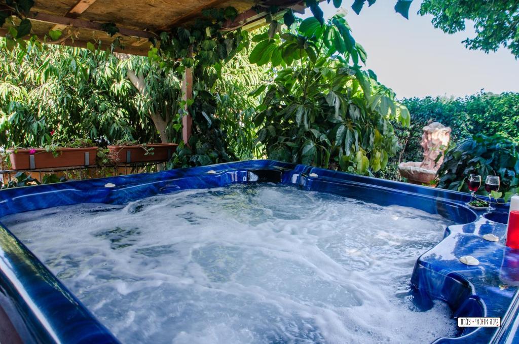 Bazén v ubytování Avigail Guest House nebo v jeho okolí