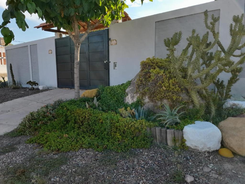 a garden in front of a house with a cactus at Challao Dream in El Challao
