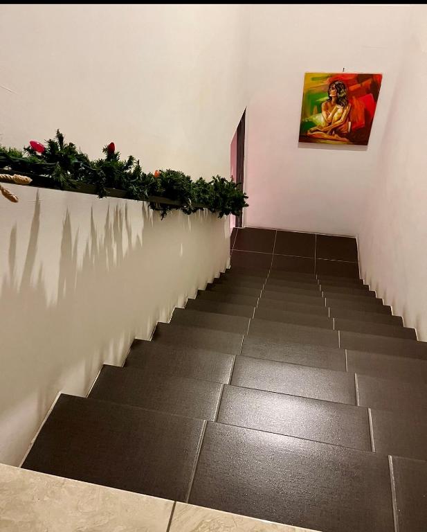 Hostal Rio Piedra photo