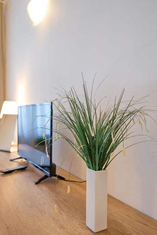 TV a/nebo společenská místnost v ubytování Stodolní Apartment