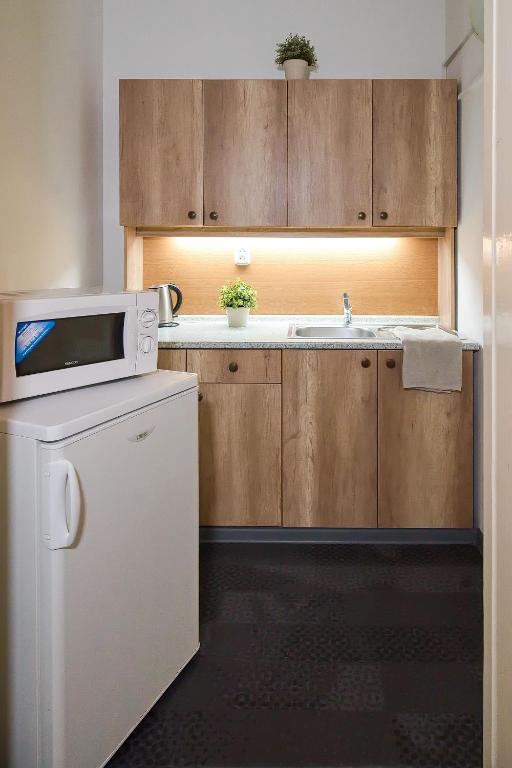 Kuchyň nebo kuchyňský kout v ubytování Stodolní Apartment