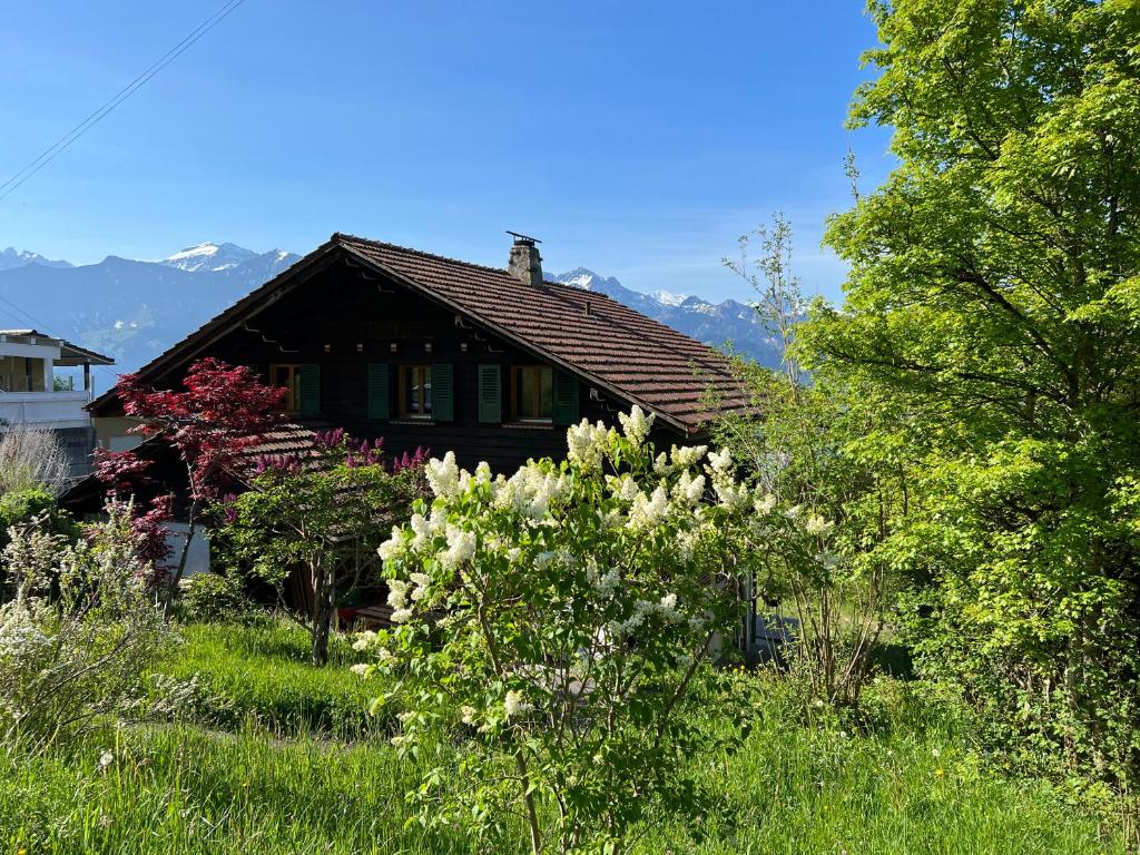Příroda nedaleko apartmánu