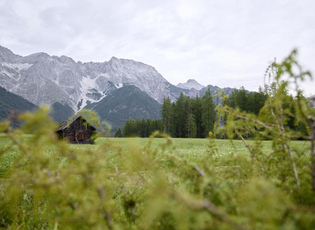 Paesaggio naturale nelle vicinanze della stanza in casa privata