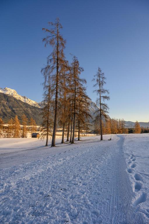 Paesaggio naturale nelle vicinanze della stanza in casa privata