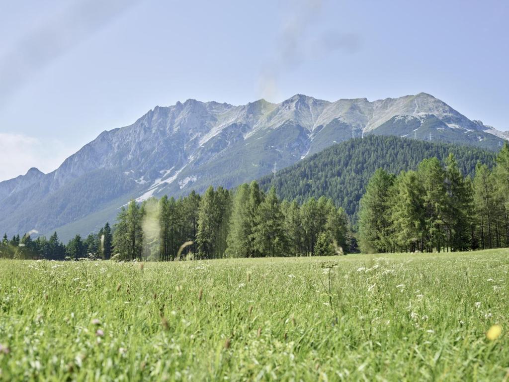 Paesaggio naturale nelle vicinanze della stanza in casa privata