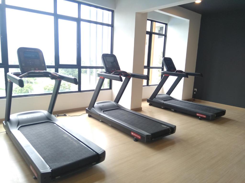 Fitness centrum a/nebo fitness zařízení v ubytování Sann's Lodge