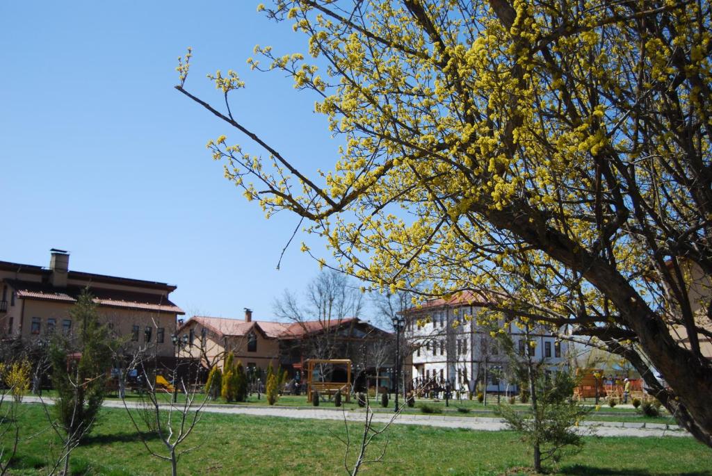 Zahrada ubytování Iksir Resort Town