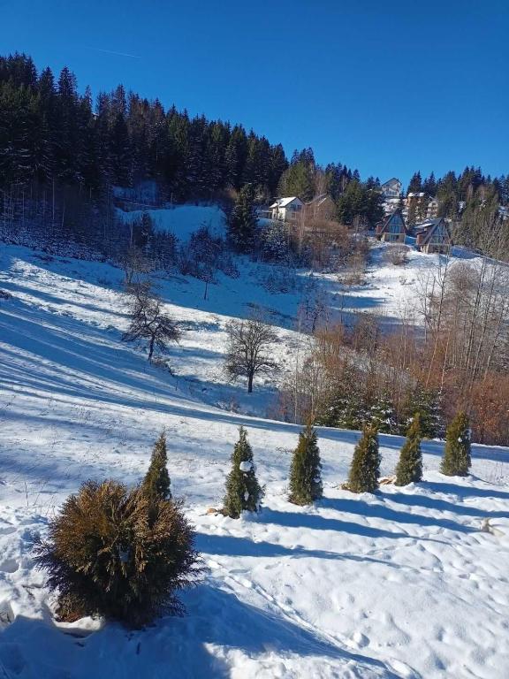 Zlatar Eyes v zimě