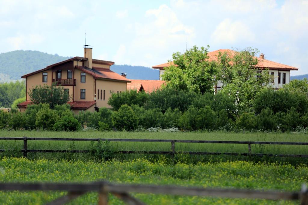 Příroda nedaleko hotelu