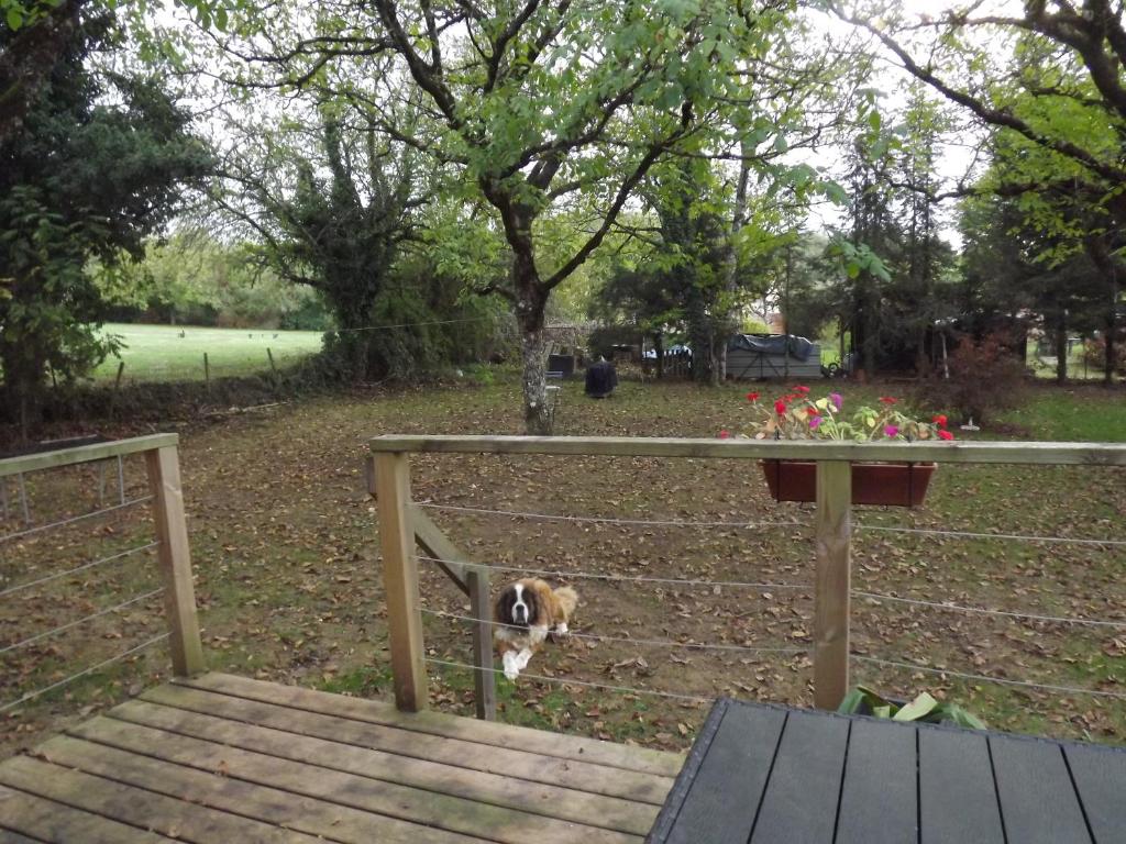 un chien qui colle la tête à travers une clôture dans l'établissement Bienvenue à La Noyeraie, à Bio