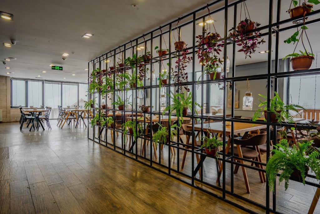 Restaurace v ubytování Gudauri Inn