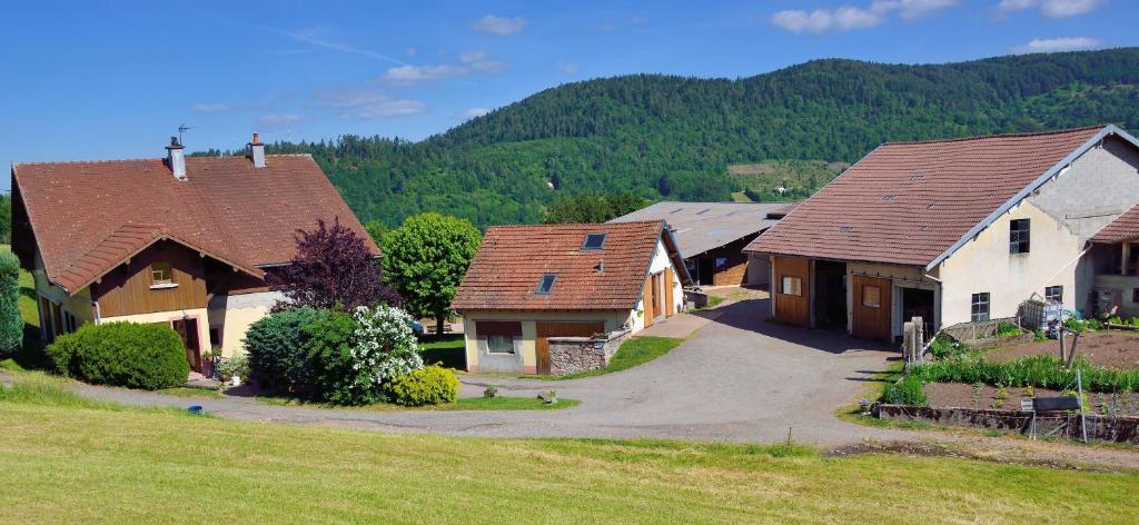 a group of houses with mountains in the background at Chambres d'hôtes Hébergement F.Mathieu in Saint-Maurice-sur-Moselle