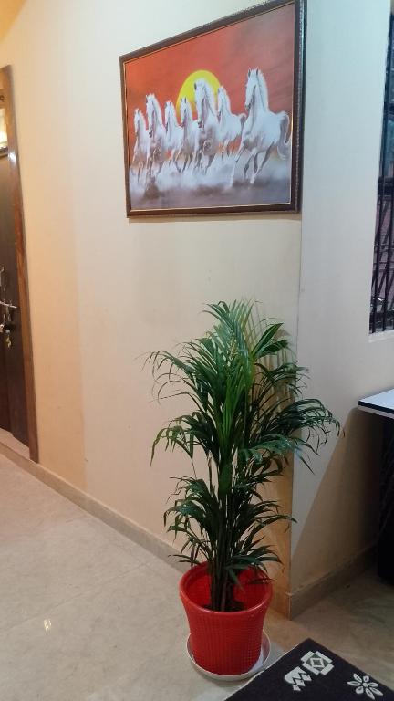 Fotografie z fotogalerie ubytování The blessings home stay v destinaci Agra