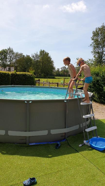 two boys standing on a ladder in a swimming pool at Boerderijcamping de Berghoeve in Ruinen