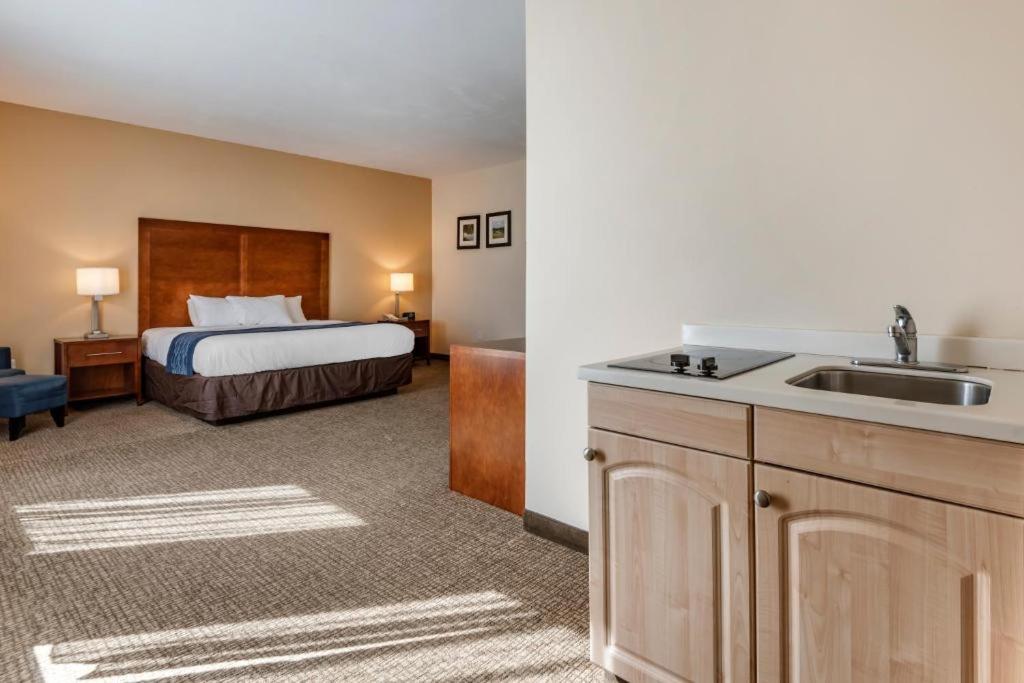 Comfort Inn Apalachin - Binghamton W Route 17 - King Room - Accessible/Non Smoking