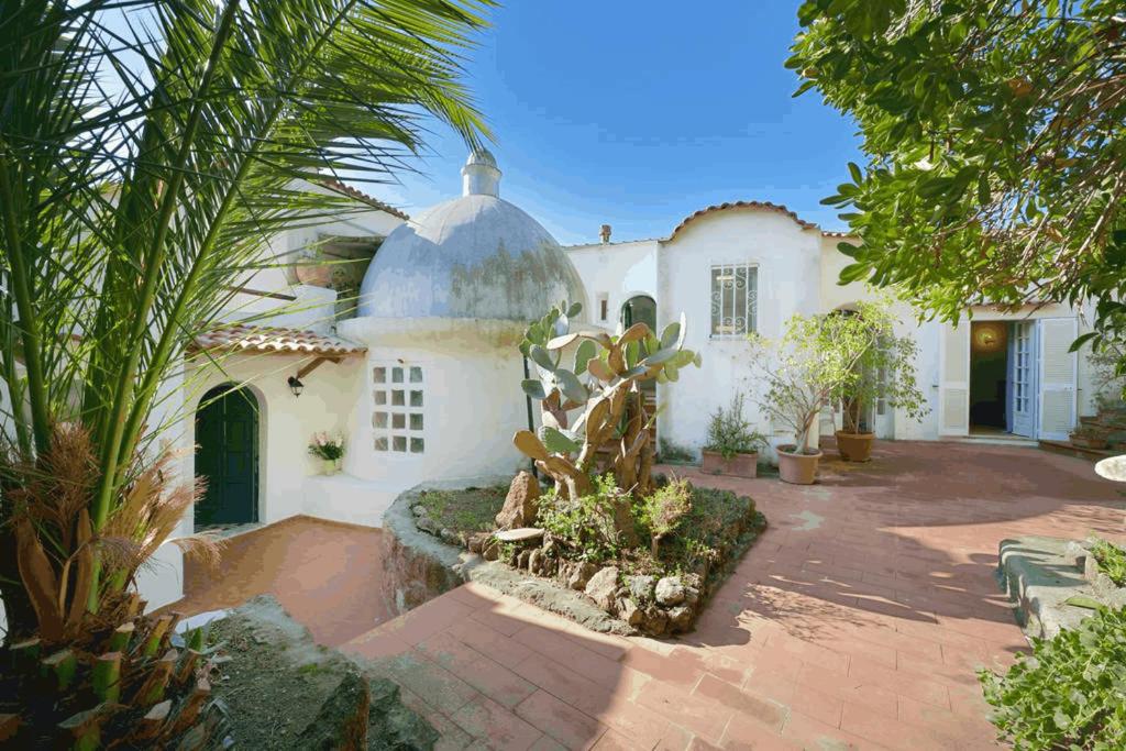 Eremo di Montevergine Ischia Apartments - One-Bedroom Apartment With Garden View