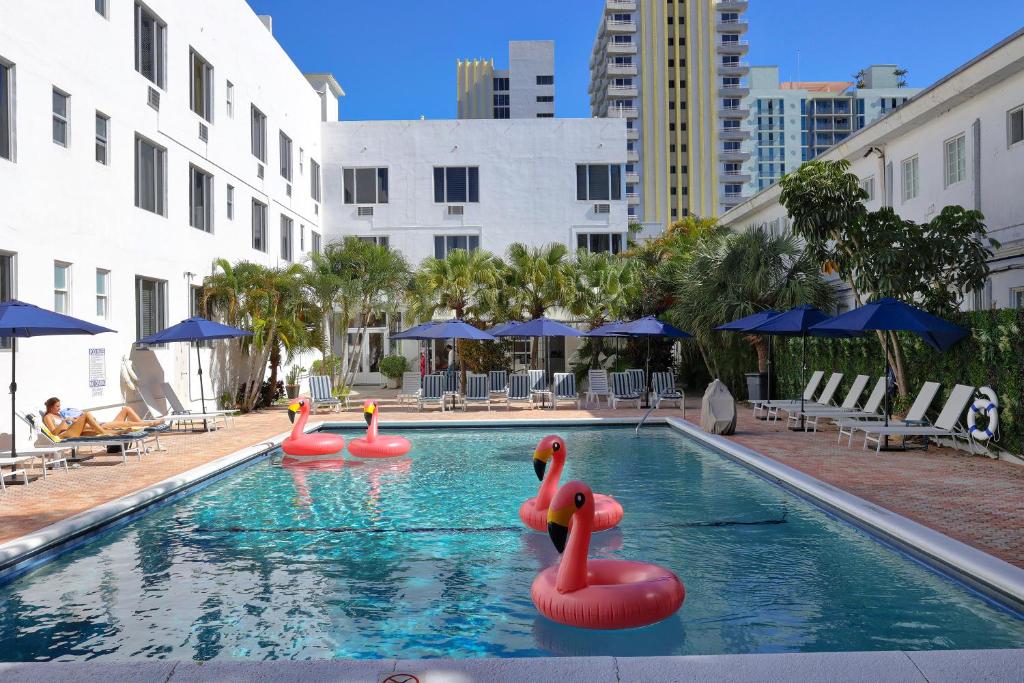 Tropics Hotel Miami Beach photo