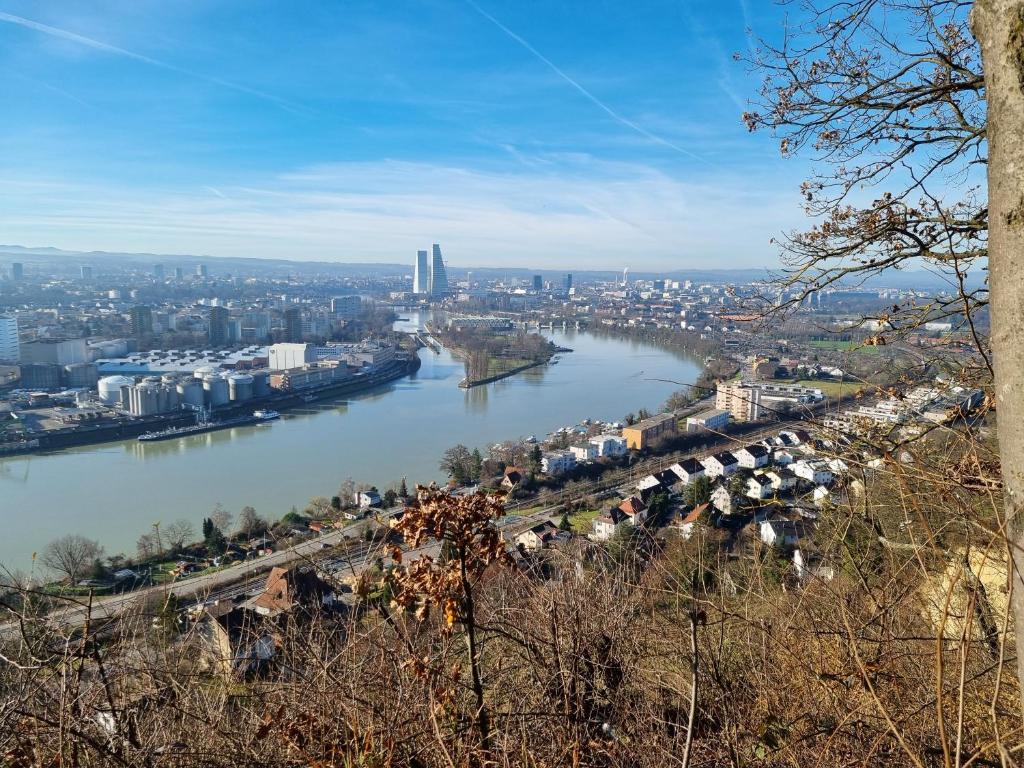 uitzicht op een rivier met een stad op de achtergrond bij Regio Basiliensis in Grenzach-Wyhlen