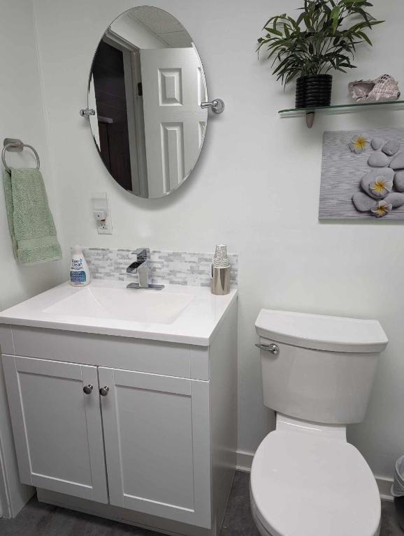 a bathroom with a white toilet and a mirror at Suite in the Bush-Private Apartment in Bancroft
