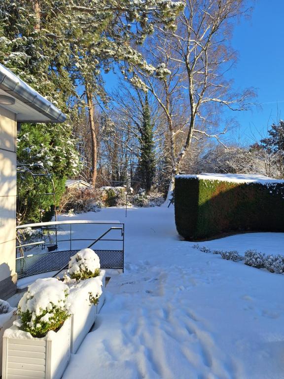 une cour recouverte de neige avec des buissons et des arbres dans l'établissement Studio La Rotonde, à Waterloo