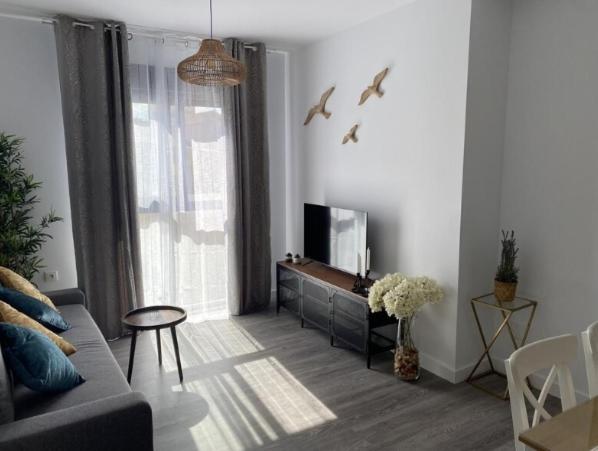 sala de estar con sofá y TV en Apartamento Ginestar en Malaga, en Málaga