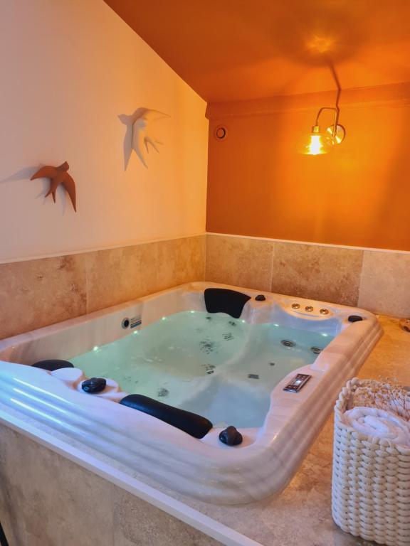 bañera de hidromasaje en una habitación con pájaros en la pared en Nuits d'Audace en Alès
