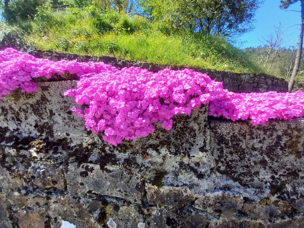 Zahrada ubytování Il sogno di Gaggiuin