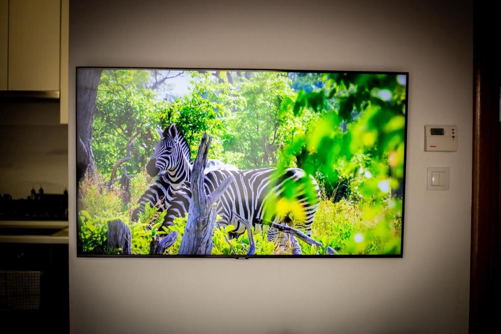 Televízia a/alebo spoločenská miestnosť v ubytovaní Apartman Elly