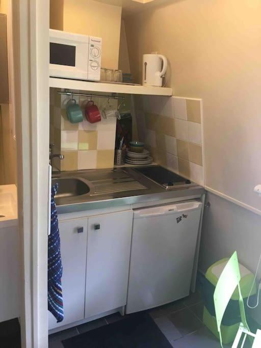 a small kitchen with a sink and a microwave at Charmante chambre de bonne a Montorgueil Paris in Paris