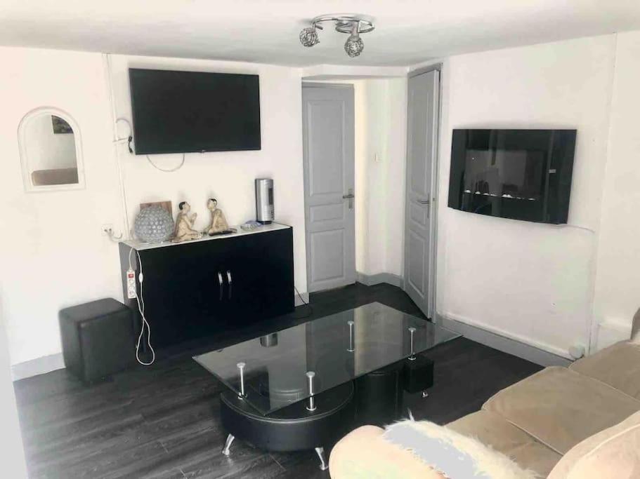勒布爾熱的住宿－Logement appartement bourget，带沙发和平面电视的客厅