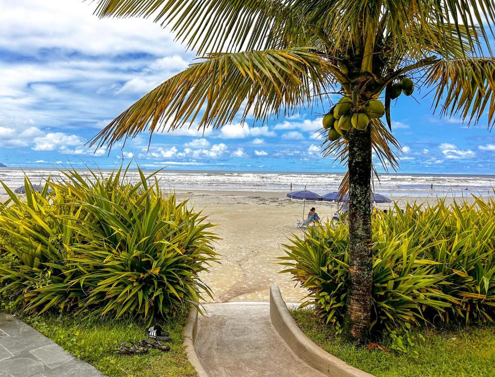 a palm tree on a beach with the ocean at Flat a beira mar da Praia de Guaratuba Bertioga SP in Praia Guaratuba
