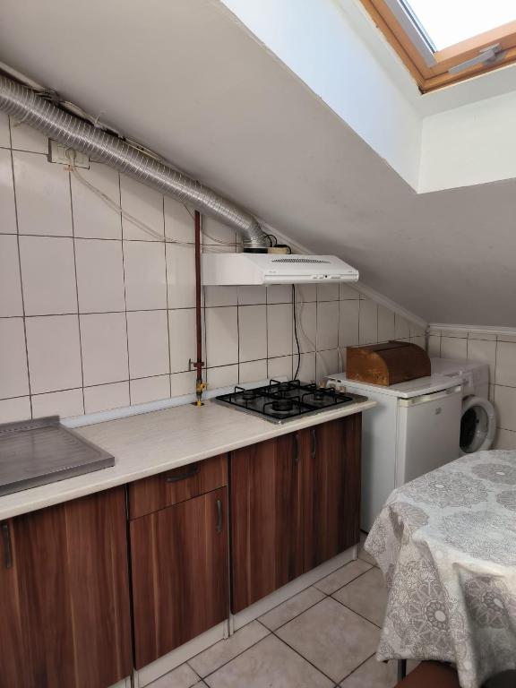 a kitchen with a stove top oven next to a sink at Vila Gherghisan in Valu lui Traian