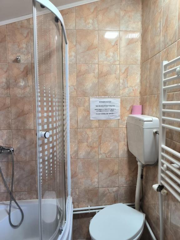 a bathroom with a shower and a toilet and a sink at Vila Gherghisan in Valu lui Traian