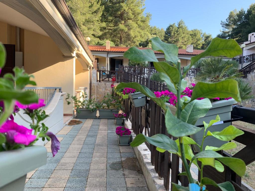 eine Terrasse mit Topfpflanzen auf einem Haus in der Unterkunft Villetta Lilly - Belvedere Pugnochiuso - Gargano in Vieste