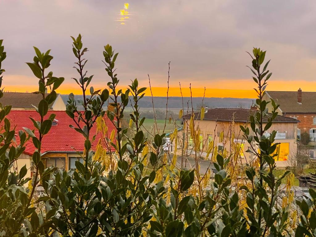 Natuurlandschap vlak bij de bed & breakfast
