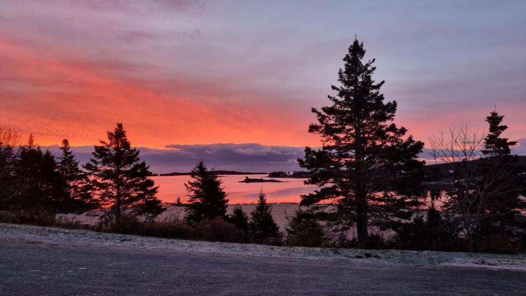 Oceanfront Apartment 1, Port Dufferin Aktualisierte Preise für 2024