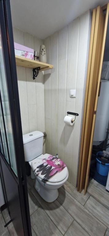 ein Bad mit einem WC und einem Handtuch darauf in der Unterkunft Atelier d Antoine in Saasenheim
