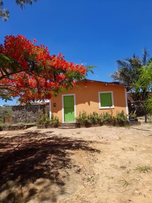 dom z drzewem z czerwonymi kwiatami przed nim w obiekcie Sítio bem localizado em Triunfo w mieście Triunfo