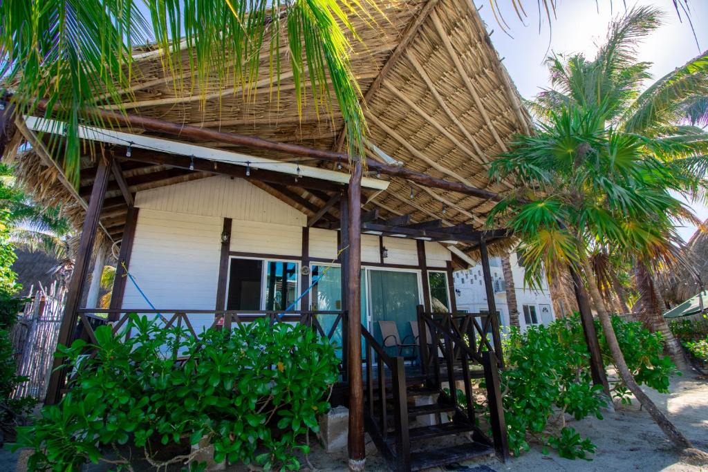 Zahrada ubytování Hotel Encanto Holbox Beach Front