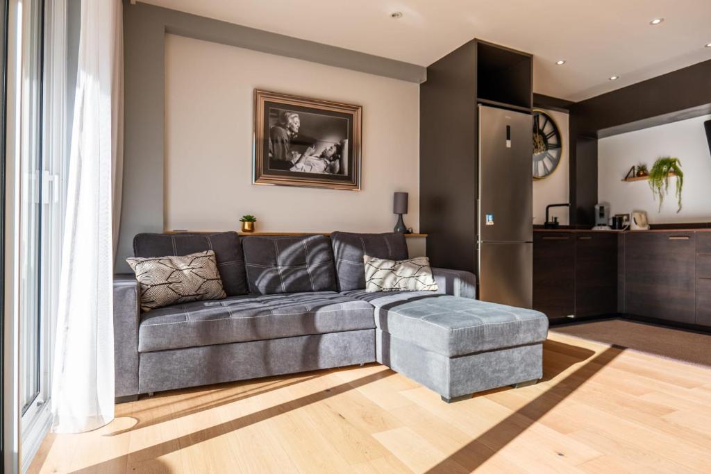 Il comprend un salon avec un canapé gris et une cuisine. dans l'établissement Bright 2bedroom apartment 15min walk to the Palais, à Cannes